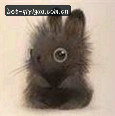 李薇